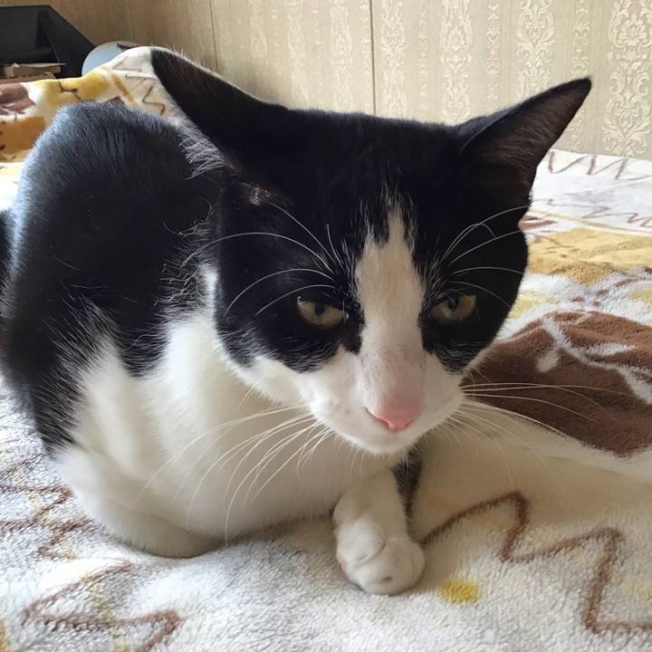 2f50a7b0 2ebe 467d 8f14 2876c8108ba2 1653526308590