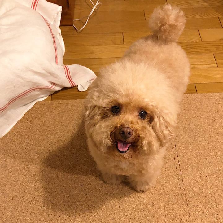 2f50db22 f8fb 4d26 9dc5 8268a356d493 1594990036402