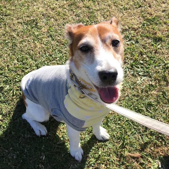 2f50e41c f8ea 4f6e b818 bb2de78c21a9 1512997605821