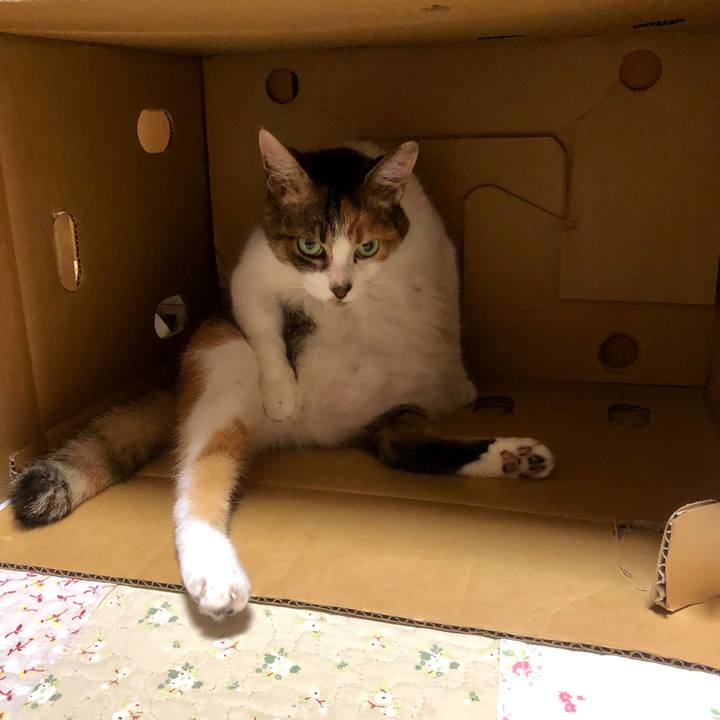 2f50e7bb 43b8 433b bb2c 849e334a55ff 1563068139691