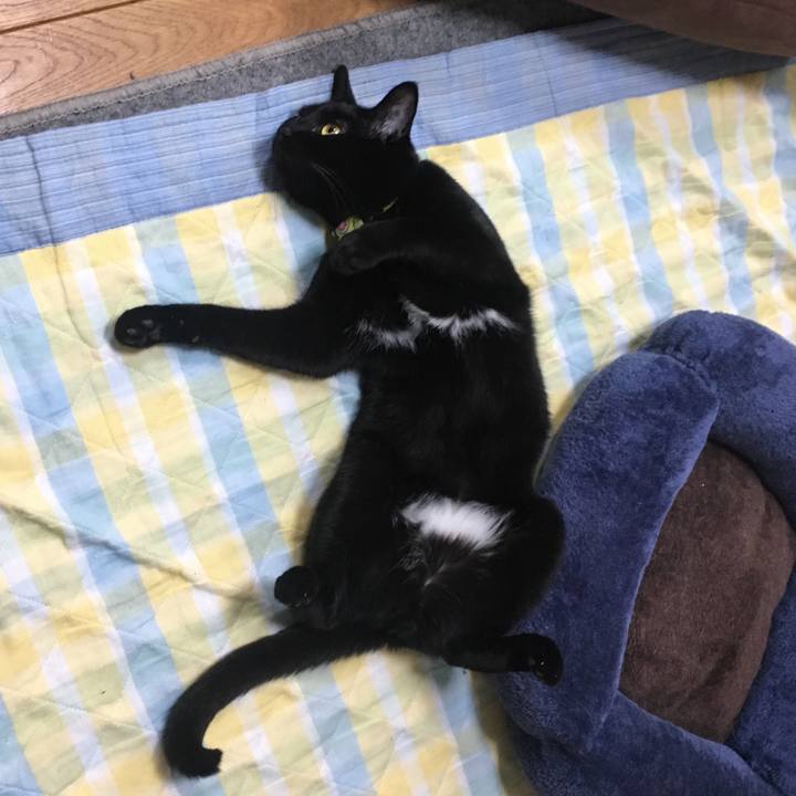 2f510b15 ddcf 4697 b810 f114cb330055 1525671521298