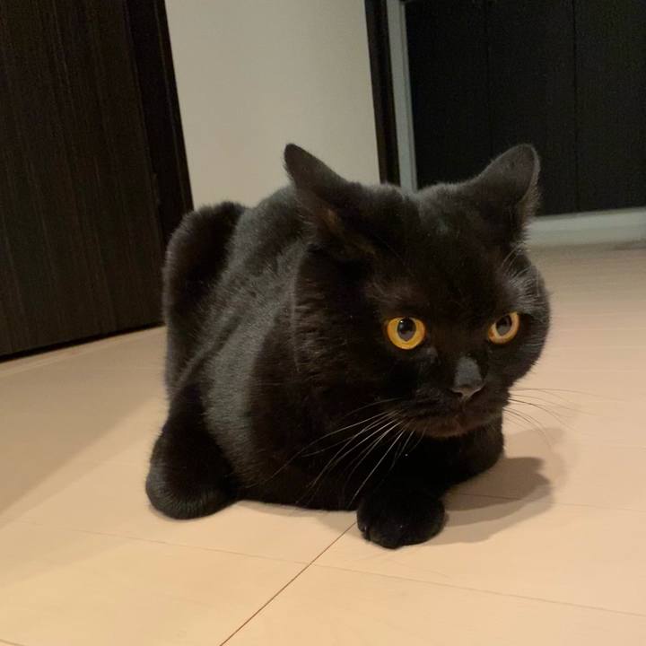 2f512987 c769 4164 b965 1f80b7622e63 1626004053309