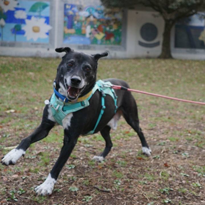 2f513d20 03ea 4d8a bde2 aad773153887 1772757182149