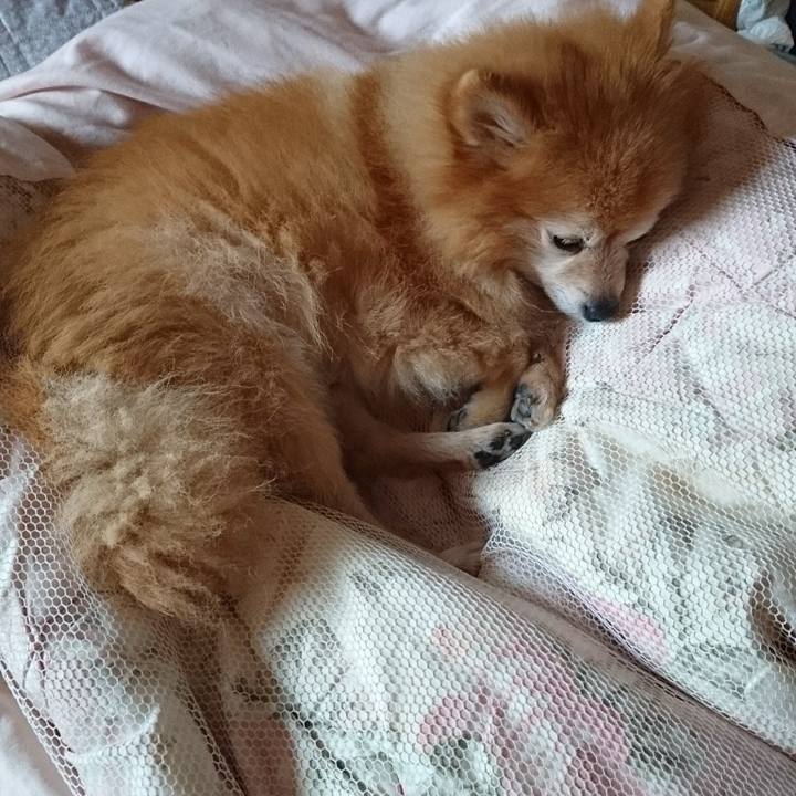 2f514d62 672f 436e 84df c0e81cb2ec09 1508113432907