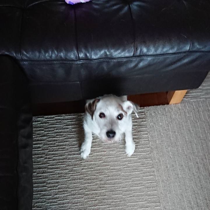 2f5181ea 86a1 48fa b476 7df80433a90c 1566949923788