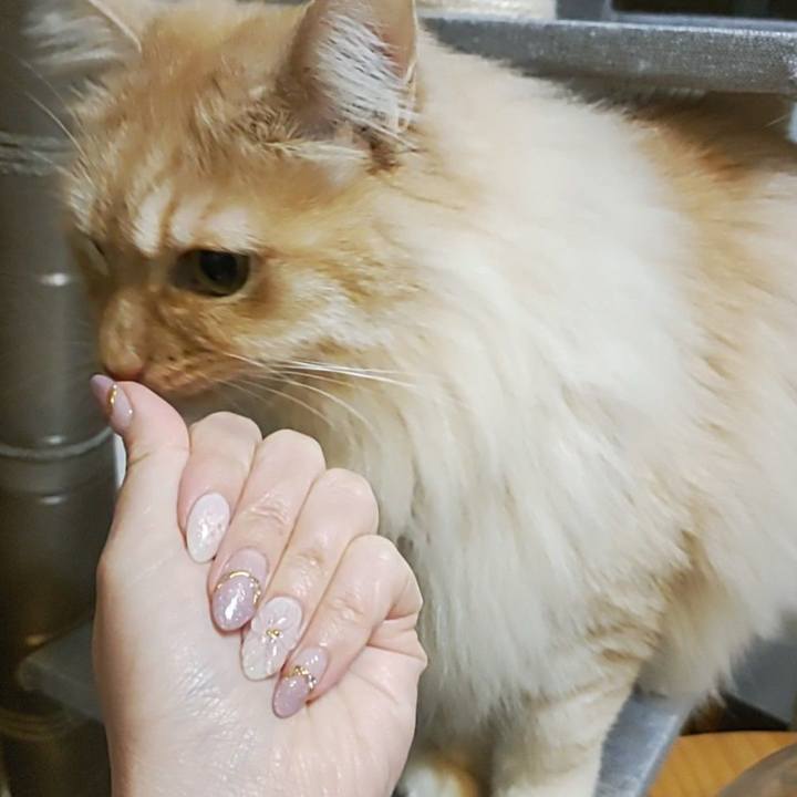 2f518c5c 74f7 4f44 9f0b 57375a6f4a71 1709732921636