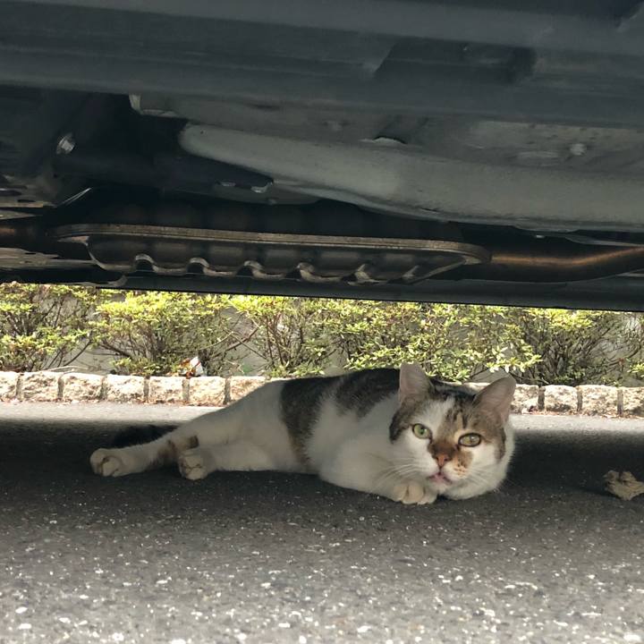 2f5193fc b9af 4dd6 b78e aac41b5daf9f 1535775584445