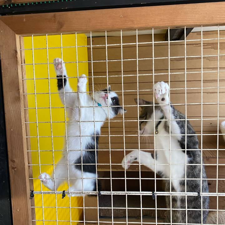 2f51bf22 4a71 402d 9404 c983fd5e4f01 1653787209476