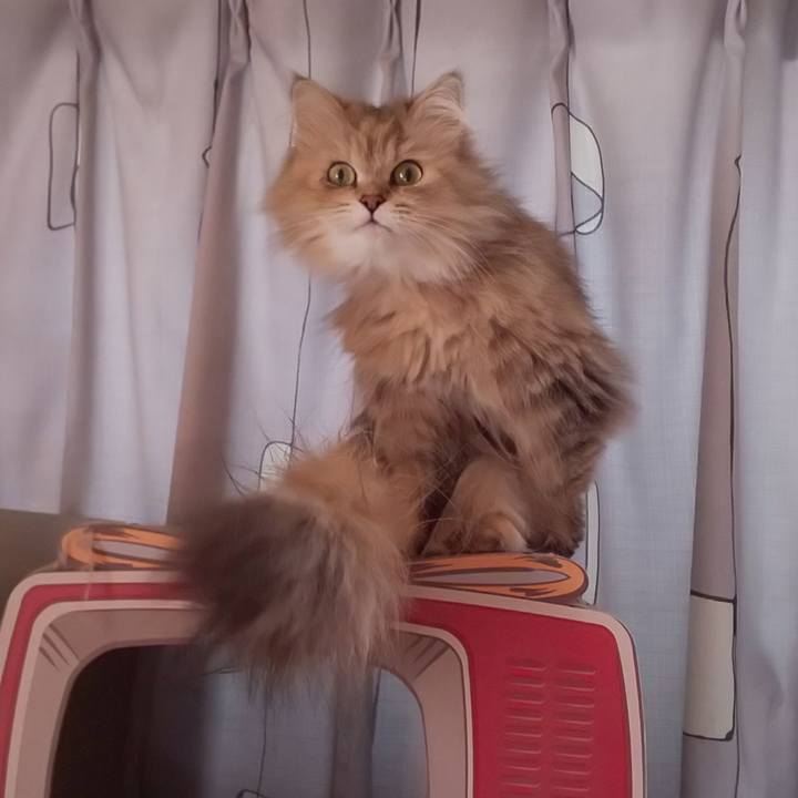 2f51e3b3 c474 4675 a45c 5d46c2b37516 1620987464466