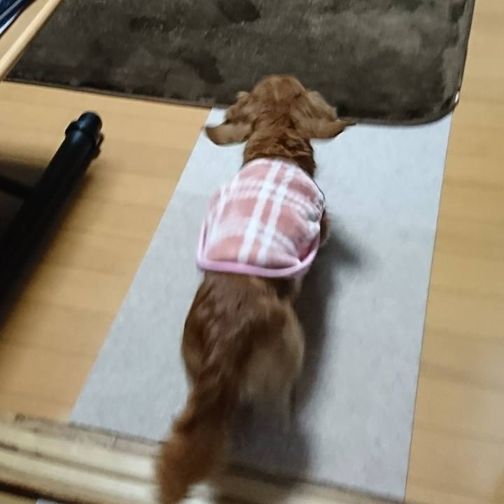 2f51e855 5045 40fc bb5d c94c4527af41 1516349720885