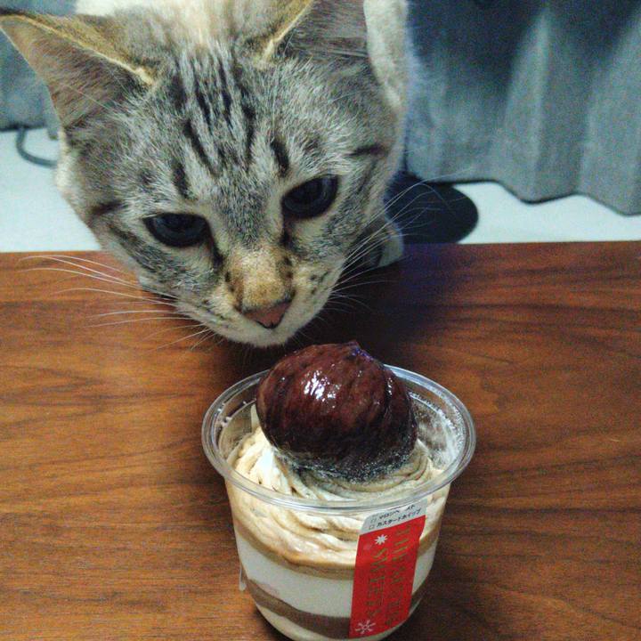 2f5203d1 fb75 407b 9bcd 4ded426589b4 1639137607120