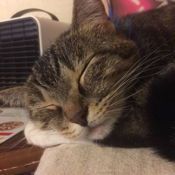 2f522a3e 9f34 4306 84a1 069968422e1d 1569236553374