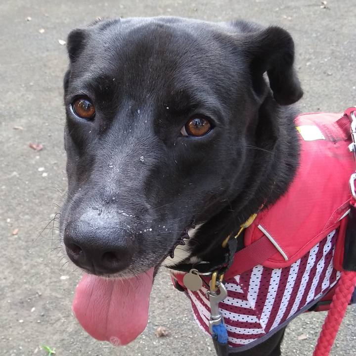 2f526618 4636 4c76 8919 e02d54080c01 1595204956697