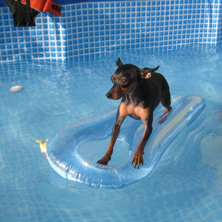 2f527ff9 b4f9 48e8 bf3c 14b35dbdb8a8 1726472066787