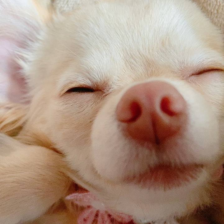 2f52b1bd aa67 4c64 a484 39d19558e06e 1614314050401