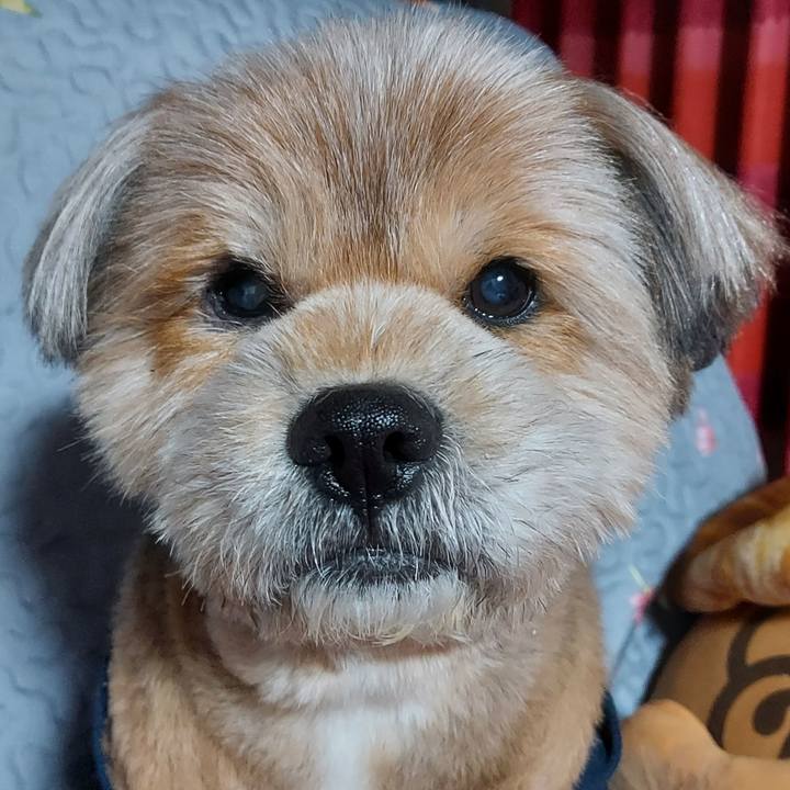 2f52b47f 5f49 4d16 b1c7 34182303e031 1640264267660