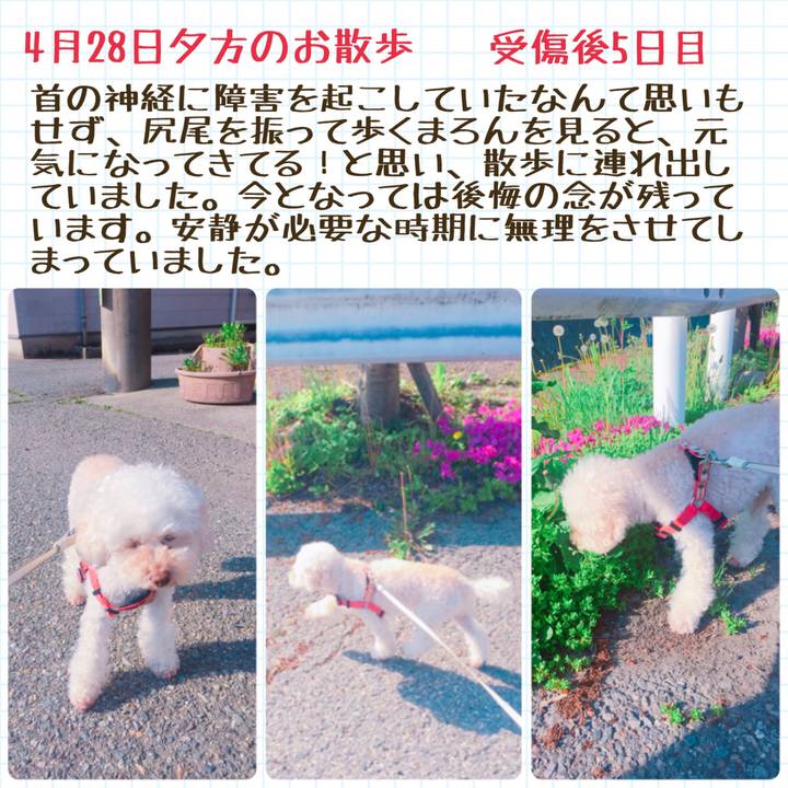 2f52c0d8 b902 4454 a7ee fbdbaa6d3ec9 1526345491610