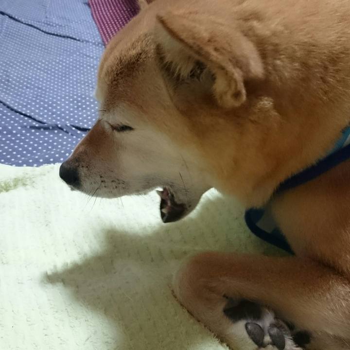 2f52c480 83d3 4902 ba96 6bd1861c6294 1525067286917