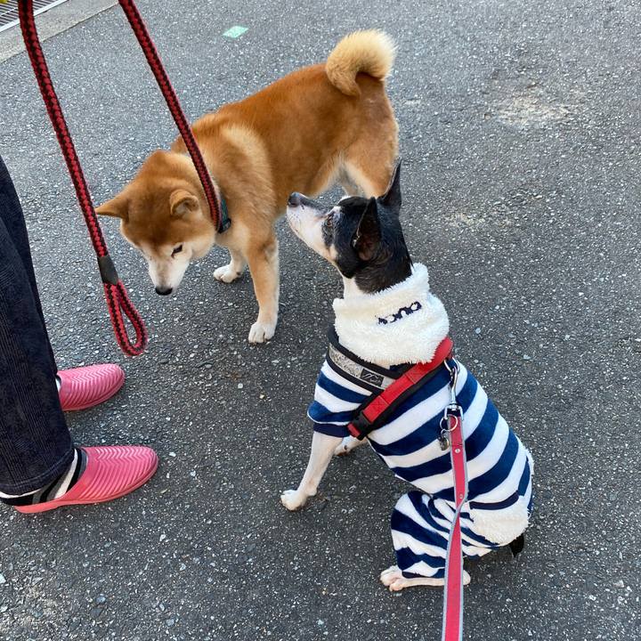 2f532016 a5b9 45d3 8b9d 7c90f43970f4 1608101264858