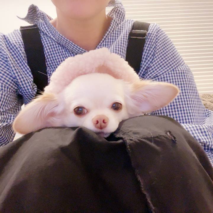 2f533f33 0c73 41c0 9186 da7f6f046163 1698746228555