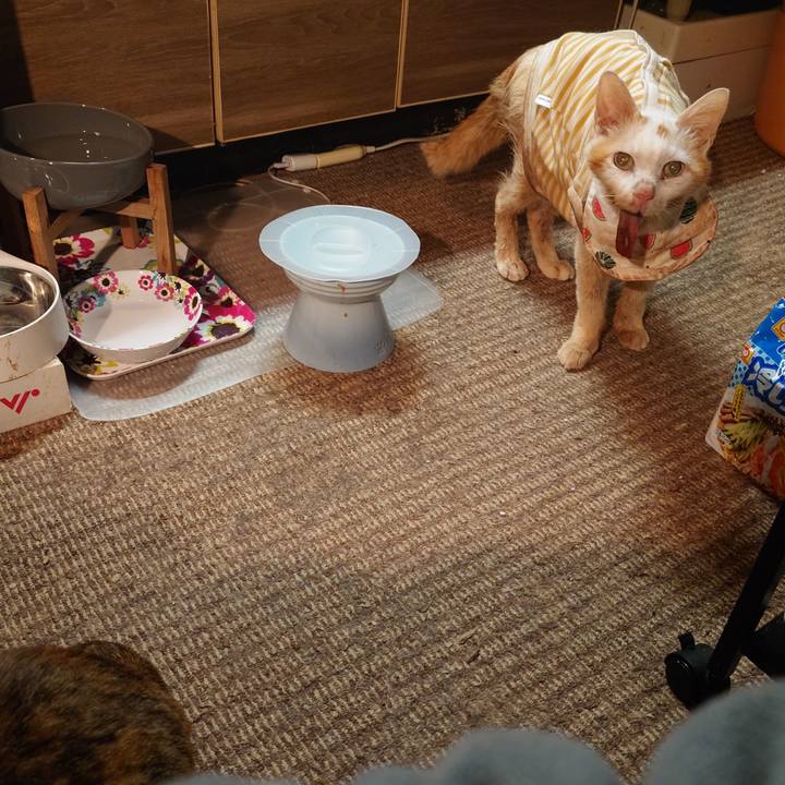 2f5365e9 3b04 4454 a618 e443a9dffae2 1768913967391