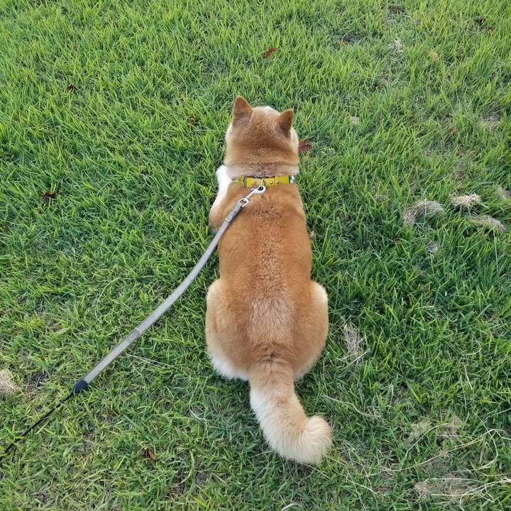 2f53820d cc88 4ad1 bcd1 d2c228e5a40c 1691311100555