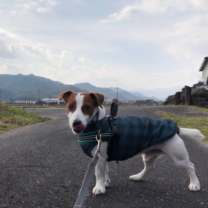 2f539980 4201 4a99 ad21 178b435c1d6b 1546935935538