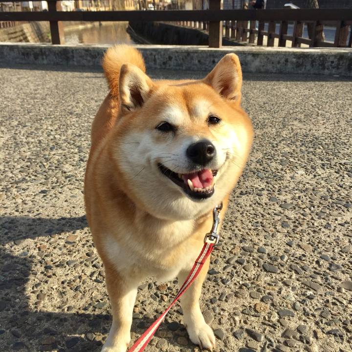 2f539c68 c0d2 4e06 ac1b 7c2f0c571405 1551250793155