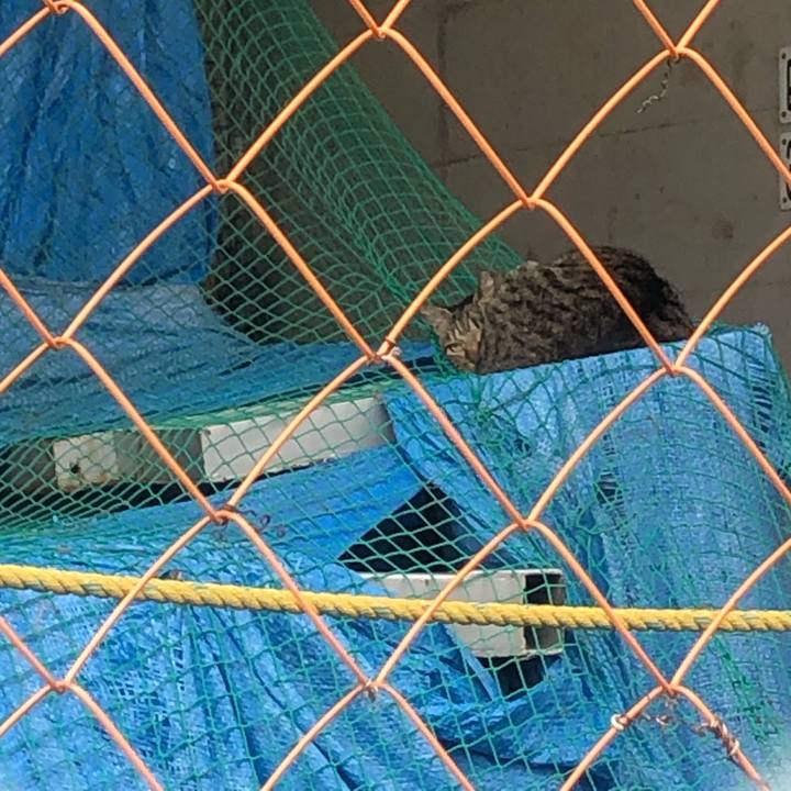 2f53a6e6 025b 4f84 95f4 08e1a96f7da7 1603572457240