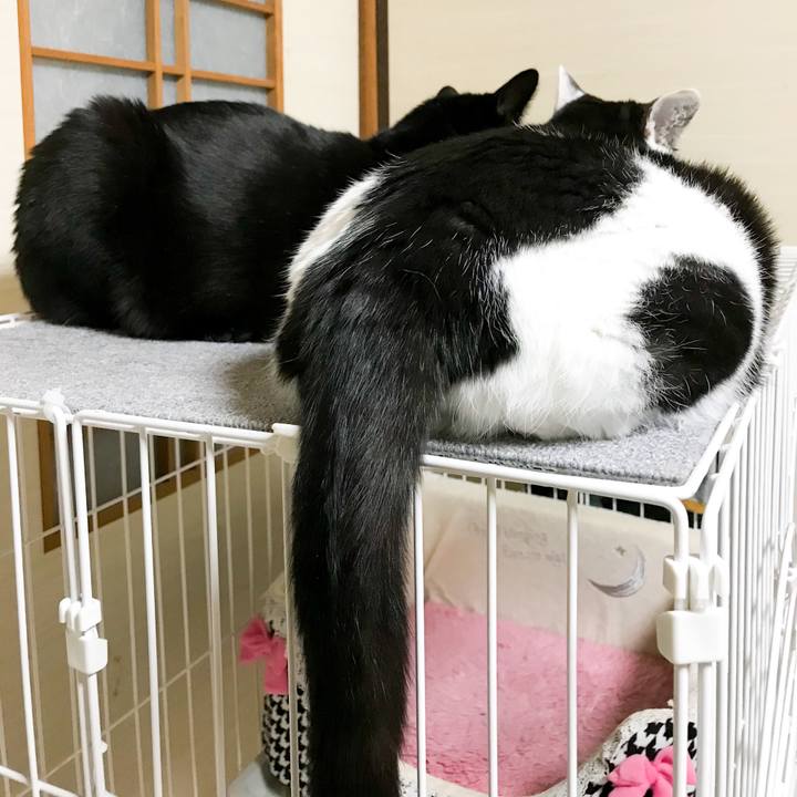 2f53fa0b 8df9 492b a5ec dd4cd92b2e80 1520347221222