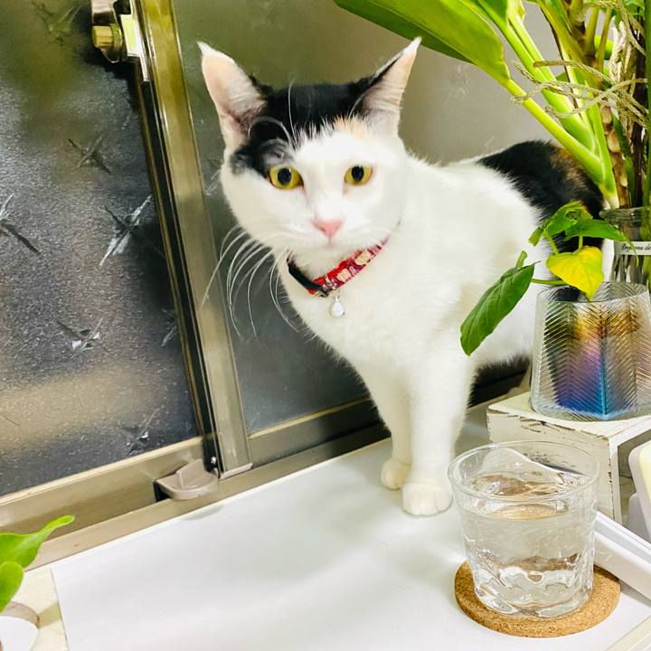 2f53fd02 16c9 441f 9fd3 6d954c3ed0c9 1676718916417