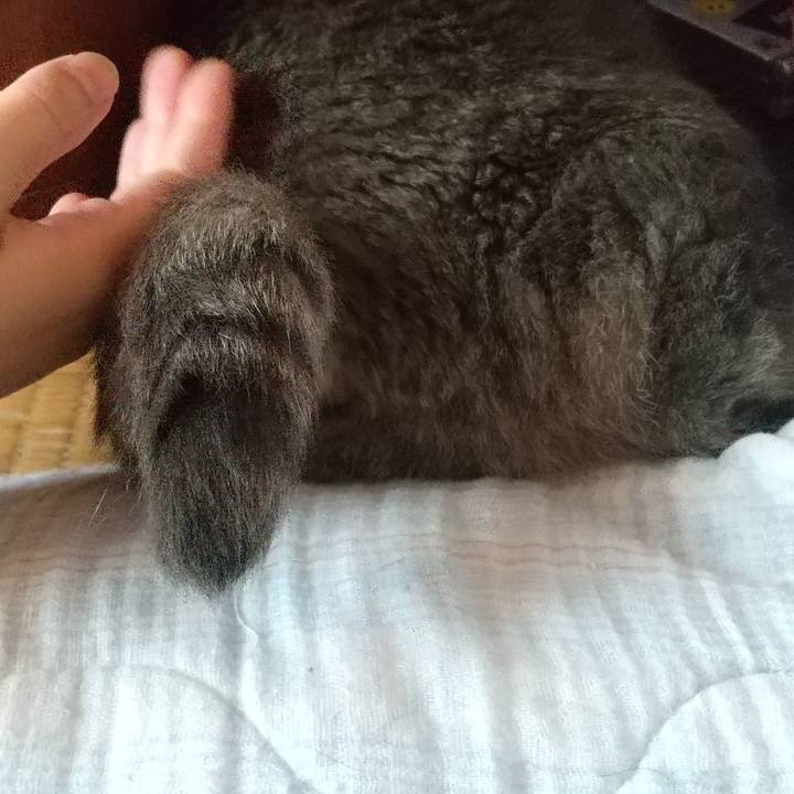 2f54159a 4ad7 45e6 a7a9 6c9b5b41fd10 1659932985497