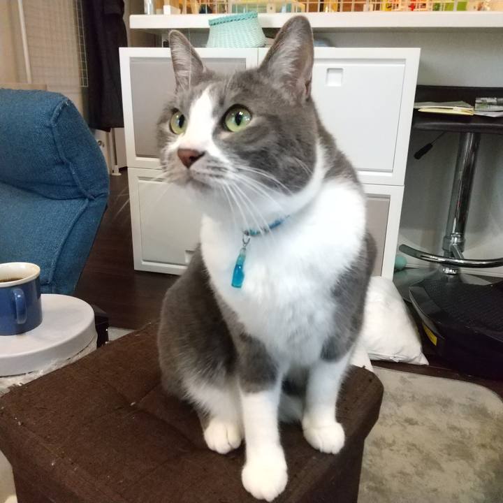 2f5436d8 664d 438e 9e88 b47978d94142 1647937578218