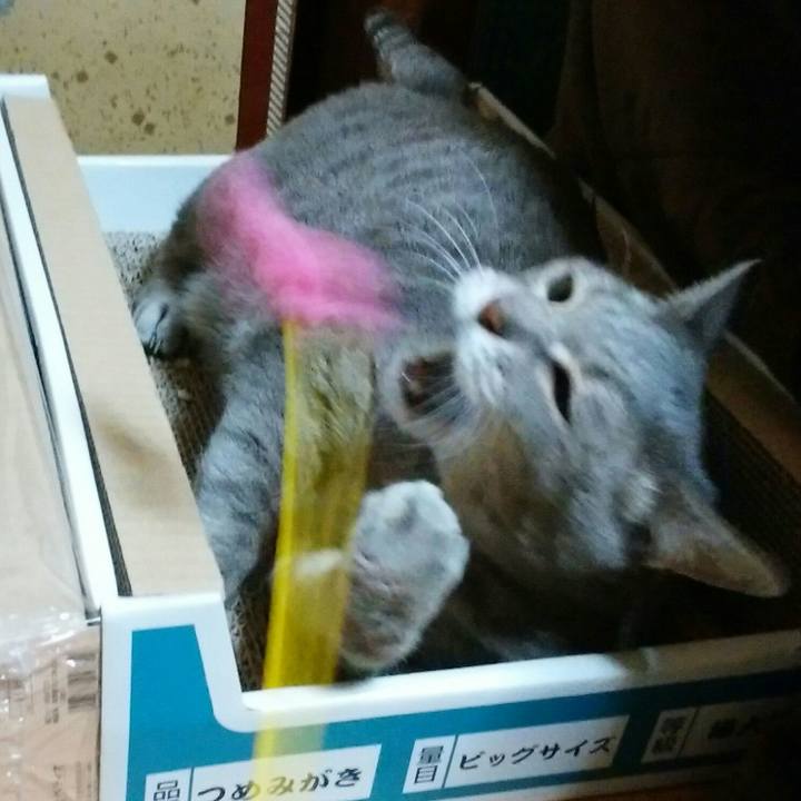 2f544be7 34cf 4e1b b12b 3a215f2c4682 1575389649727