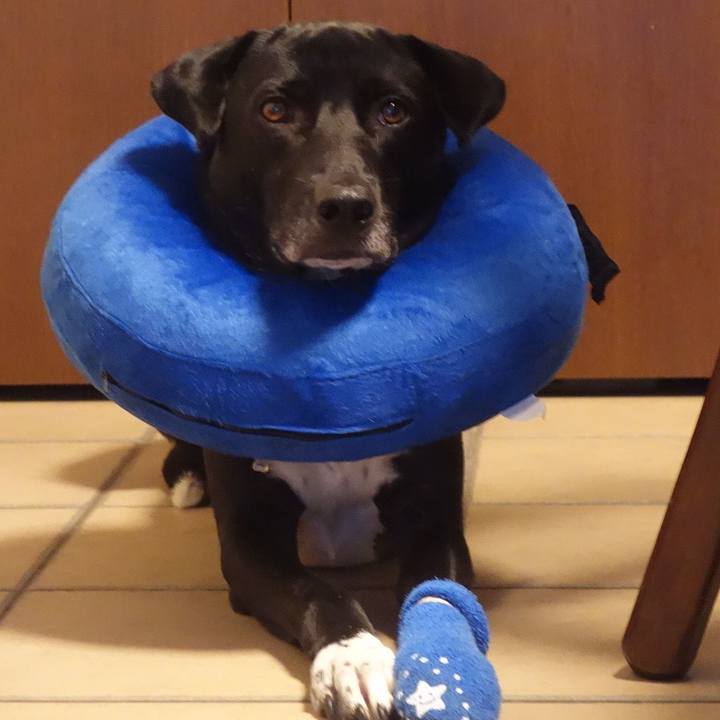 2f54847b 0054 42ff ba71 1cd10273a413 1624144461683