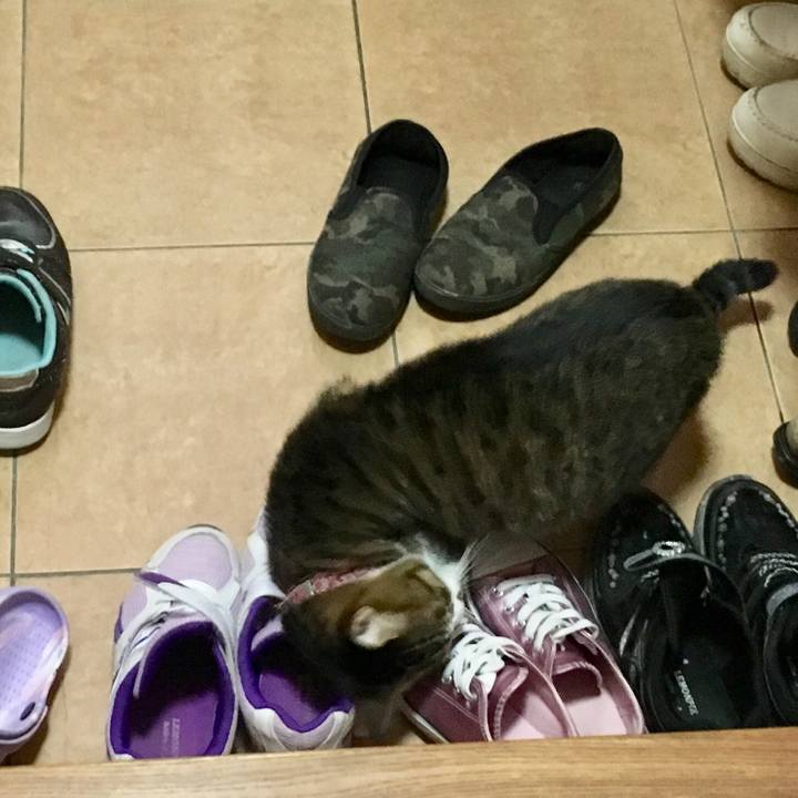 2f549549 e30a 40d1 8719 3f1b7dc449d8 1510202954034