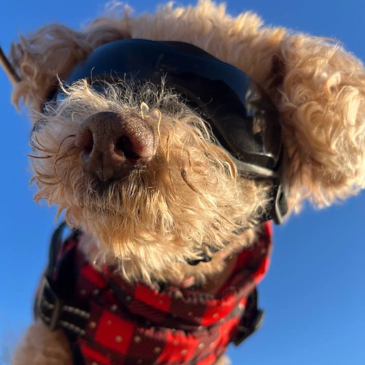 2f549a67 2047 491b bc15 b20341a1234f 1767772440190