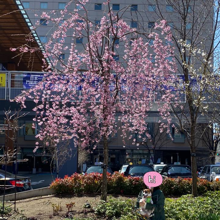 2f549f4f 5d01 4461 894d 6c5b44a441e2 1649499795445