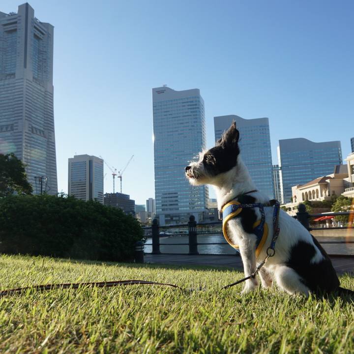 2f54da7c 86a2 4d50 b390 b4994d11eed3 1632125576836