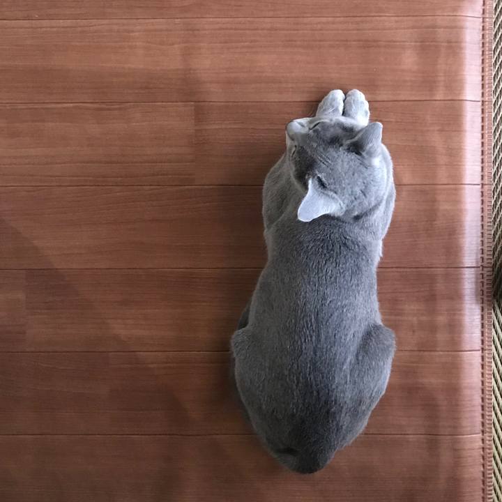 2f54faf3 18ad 414a 85ed 297450f9ec18 1518699636517