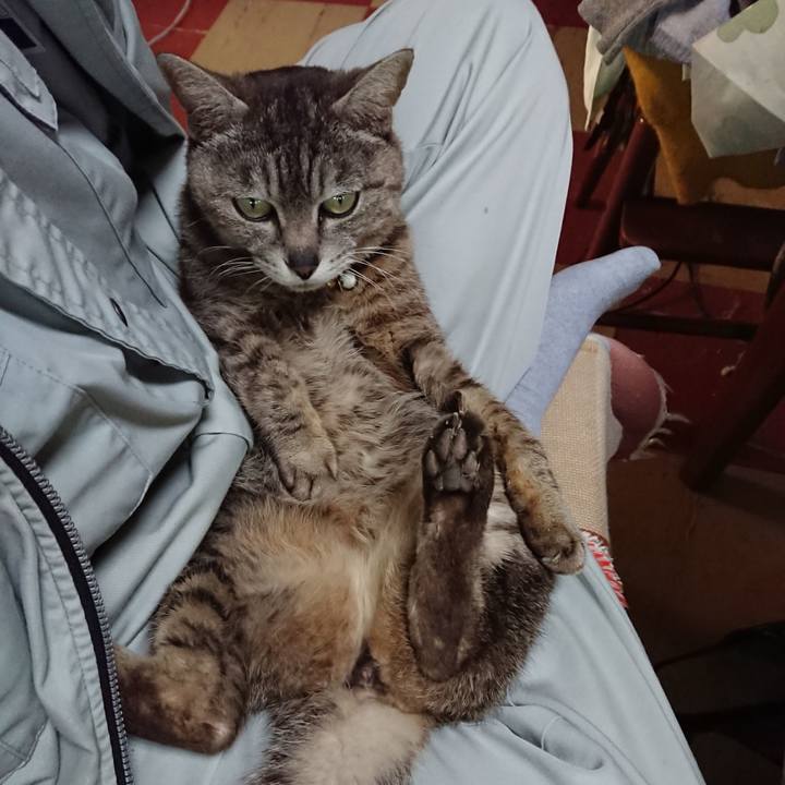 2f551ac6 98a3 438a 8a3a 83d515843834 1560376114158