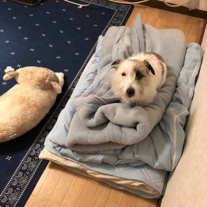 2f553079 64df 4c37 8827 1b653e4d4642 1553427802082