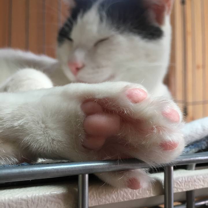 2f55377a 8404 4993 956a 267de1864e81 1522648176546