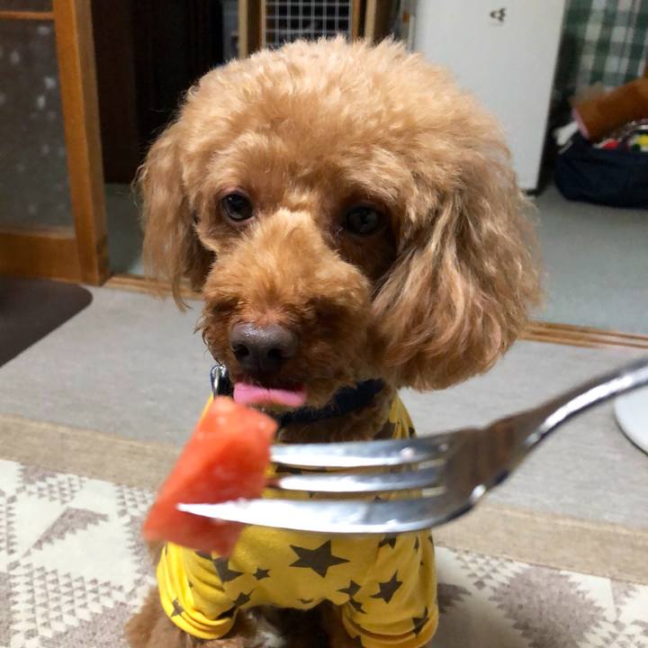 2f557ef7 59d8 4503 8d49 190dad4c669c 1563683904000