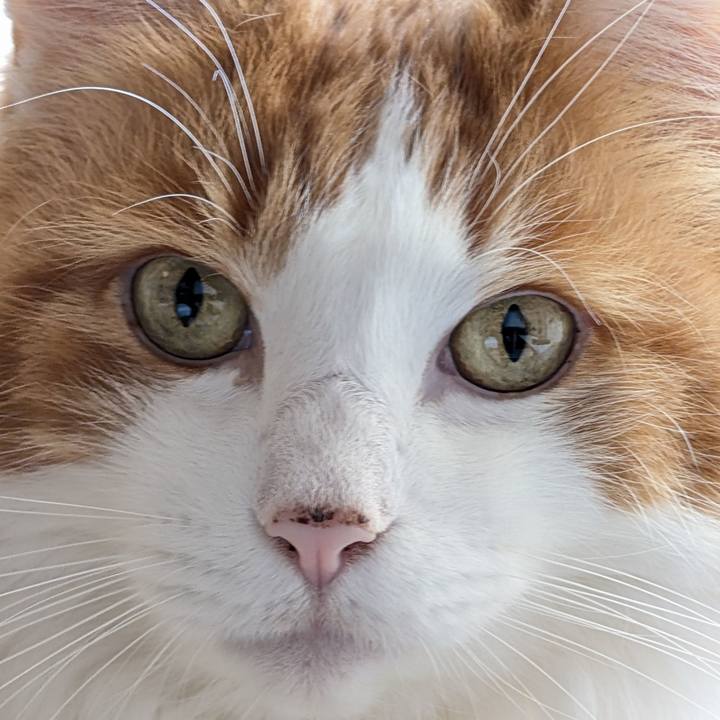 2f55a75c 97e6 4c7b 90bc 295455ccd345 1735699959820