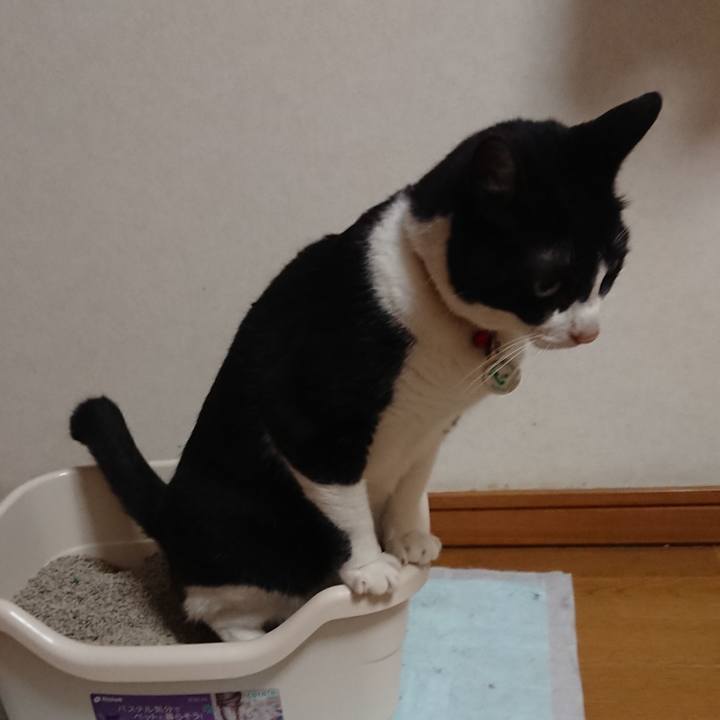 2f55ccf3 479f 4e02 a12d c52df7f0ad8b 1667620685708