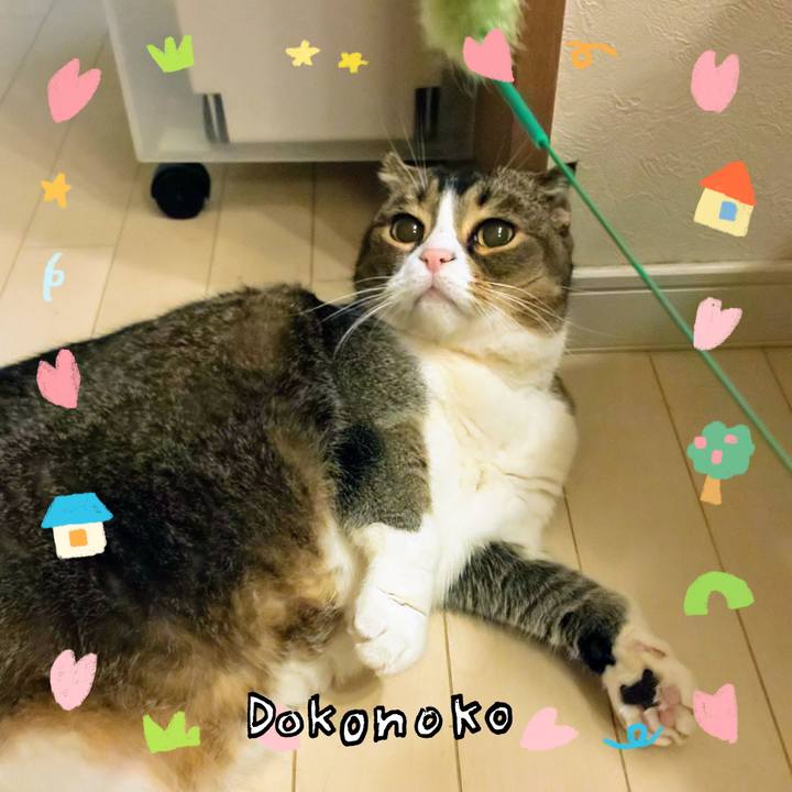 2f55d92e 00ad 4a0e be79 415e8c095bb7 1741090843884