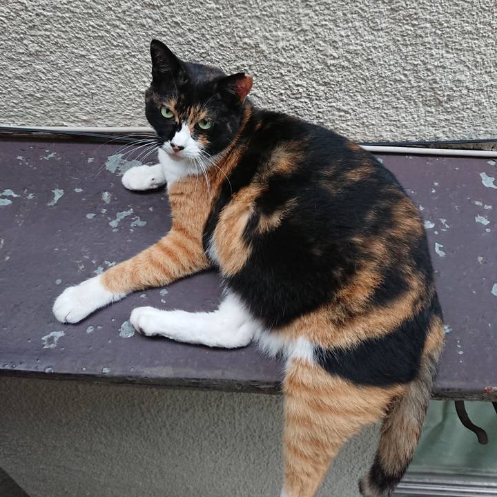 2f55f780 b1e7 486f a6f6 30d07617be7d 1566116740290