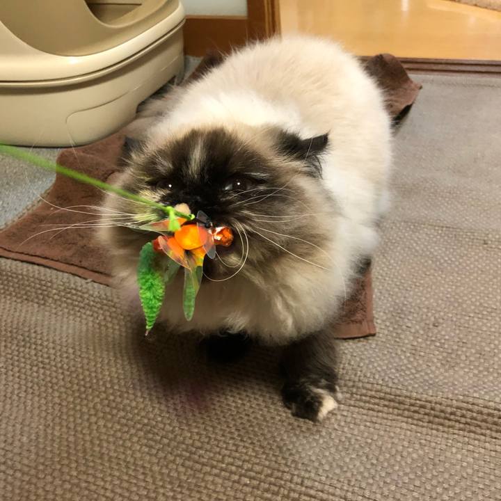 2f55f82d 0fe9 4267 993b c4bf39836bfb 1642904471112