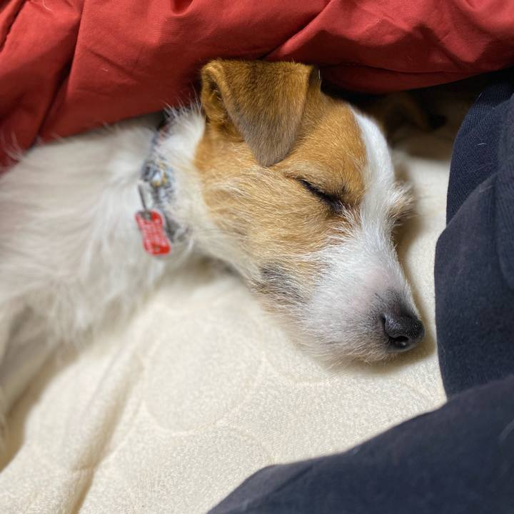 2f55fb34 7745 40e7 a42d 65b7d6375ef7 1706709109331